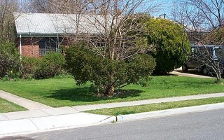 1059 Maple Ln, New Hyde Park, NY 11040