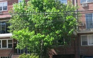 1424 E 102nd St, Brooklyn, NY 11236