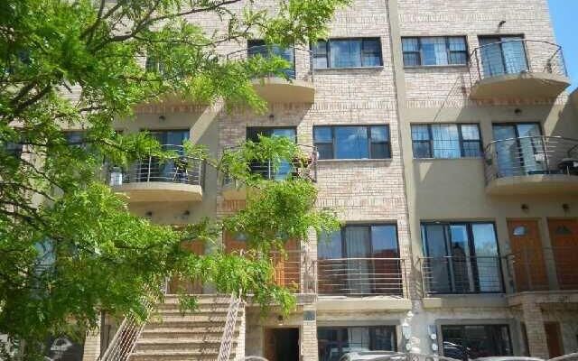 1615 Bergen St #3, Brooklyn, NY 11213