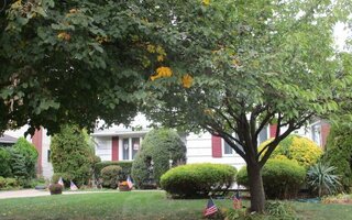 1939 Lincoln Ave, East Meadow, NY 11554