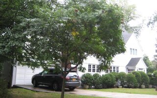 27 Ridge Dr E, Great Neck, NY 11021