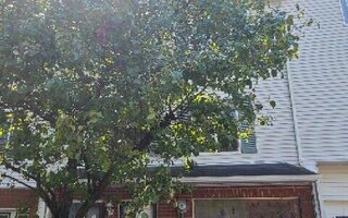 284 Ilyssa Way, Staten Island, NY 10312