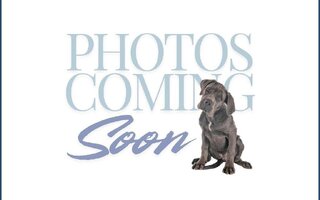 307 41st St, Copiague, NY 11726