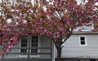 32 Allanwood Dr, Shirley, NY 11967