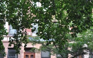 321 Convent Ave, New York, NY 10031