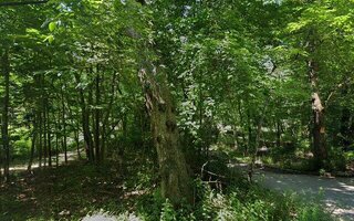 56 E Bartlett Rd, Middle Island, NY 11953