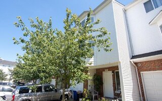 62 Bianca Ct, Staten Island, NY 10312
