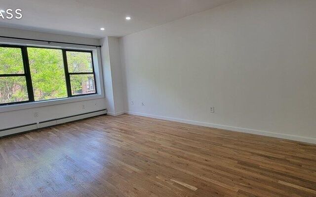 656 Greene Ave, Brooklyn, NY 11221 (Other Interiors)