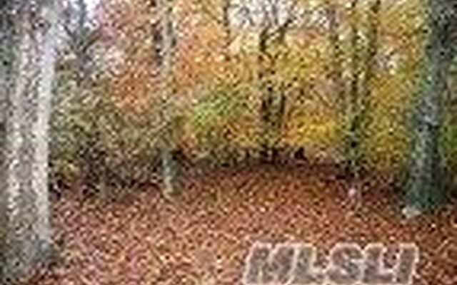 69 Marys Ln, Southampton, NY 11968