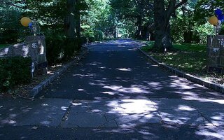 85 11th St, Garden City, NY 11530